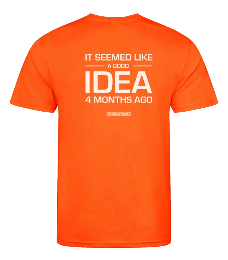 Oranje heren t-shirt met tekst: It seemed like a good idea 4 months ago